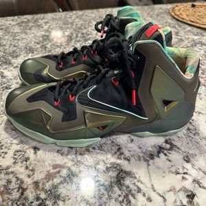 Nike lebron  11 kings pride show size 12